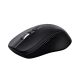 3. Trust Ferro kabellose schwarze Maus