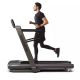 Horizon Fitness Omega Z-02 HZ-OMEGAZ-02GG Elektrisches Laufband Graphit