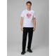 6. Fan-T-Shirt für Herren 4F 4FRSS26TTSHM4201-10S
