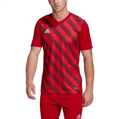 5. adidas Entrada 22 Graphic Jersey M HB0572