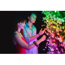 Twinkly Strings – 250 RGB+W Lichterkette, transparentes Kabel, Steckertyp F