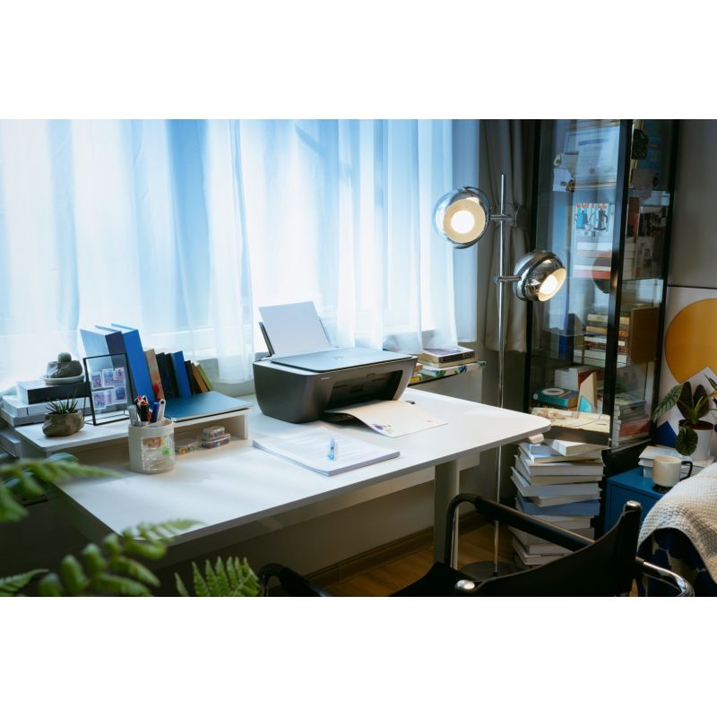 45. HP DeskJet 2920 All-in-One Drucker