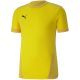 3. Puma teamGOAL 23 Trikot M 704171 07