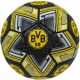 Offiziell lizenzierter Fußball von Borussia Dortmund, 4004241