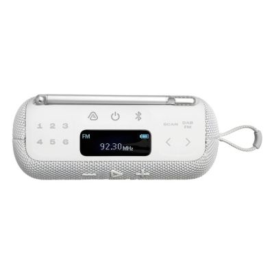 5. JBL TUNER 3 Lautsprecher (weiß, kabellos, mit FM- und DAB+-Radio)