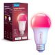 2. Govee Smart RGB-Lampe 800 lm, Wi-Fi + Bluetooth H6004CC1