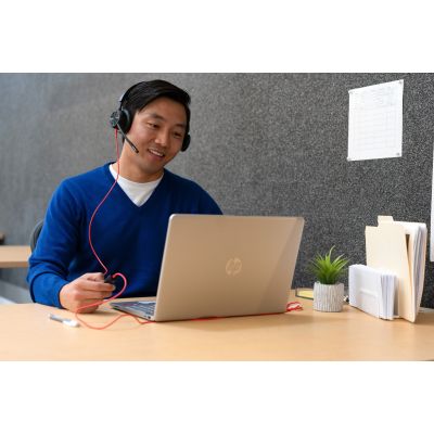 201. POLY Blackwire 8225 Stereo 8X225AA USB-C Headset mit Microsoft Teams Zertifizierung + USB-C/A Adapter