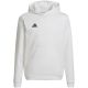6. Adidas Entrada 22 Hoody Jr HG6303 Sweatshirt