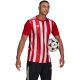 13. adidas Striped 21 Jersey M GN7624