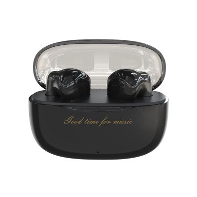 Dudao U8 TWS Kabellose In-Ear-Kopfhörer - Schwarz