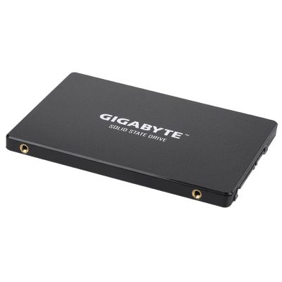 4. Gigabyte SSD 1 TB SATA3 2,5" (550/500 MB/s)