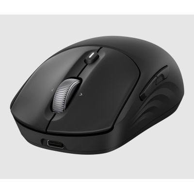 4. HP 700 Akku-Maus Schwarz, kabellos mit Batterie, schwarz, AZ7B0AA