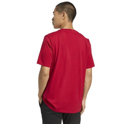 2. adidas Liverpool FC Saisonales DNA Grafik-T-Shirt 2 JY3466