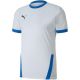 2. Puma teamGOAL 23 Trikot M 704171 12